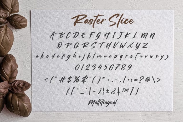 Rasterslice 4 1