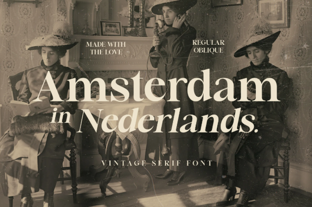 6. Amsterdam in Nederlands