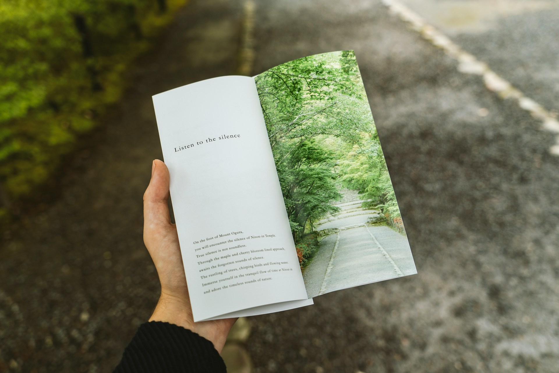What Font to Use on a Flyer: Top 30 Picks for 2025