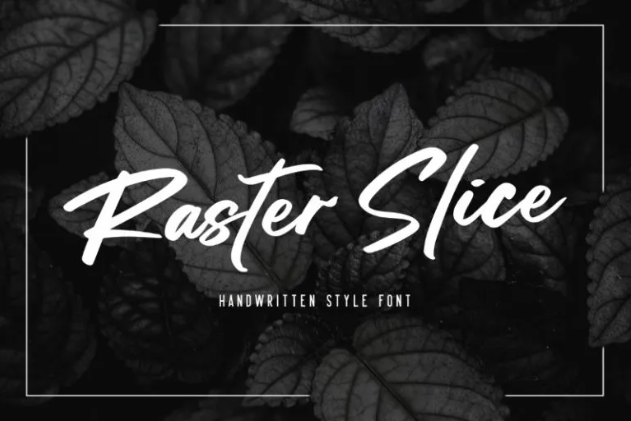 16. Raster Slice