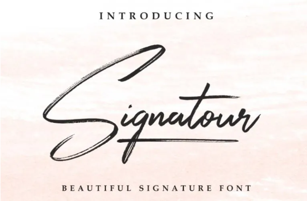 22. Signatour