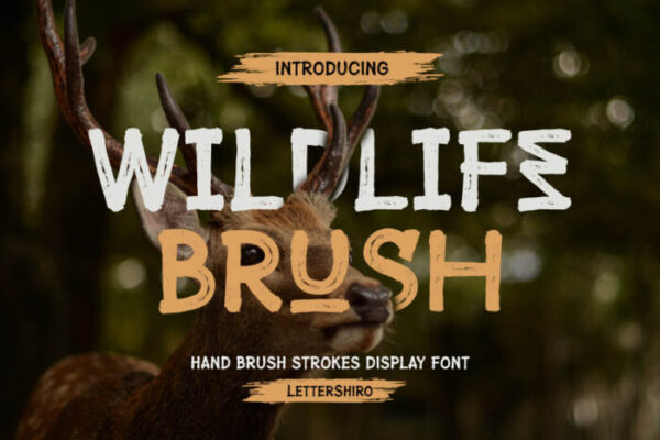 Wildlife Brush - Wild Documentary Font