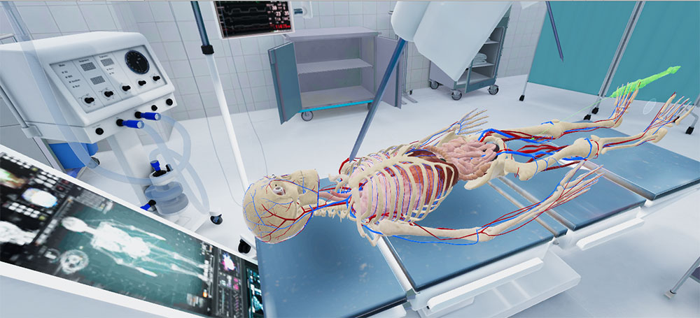 TAVR Surgery simulation