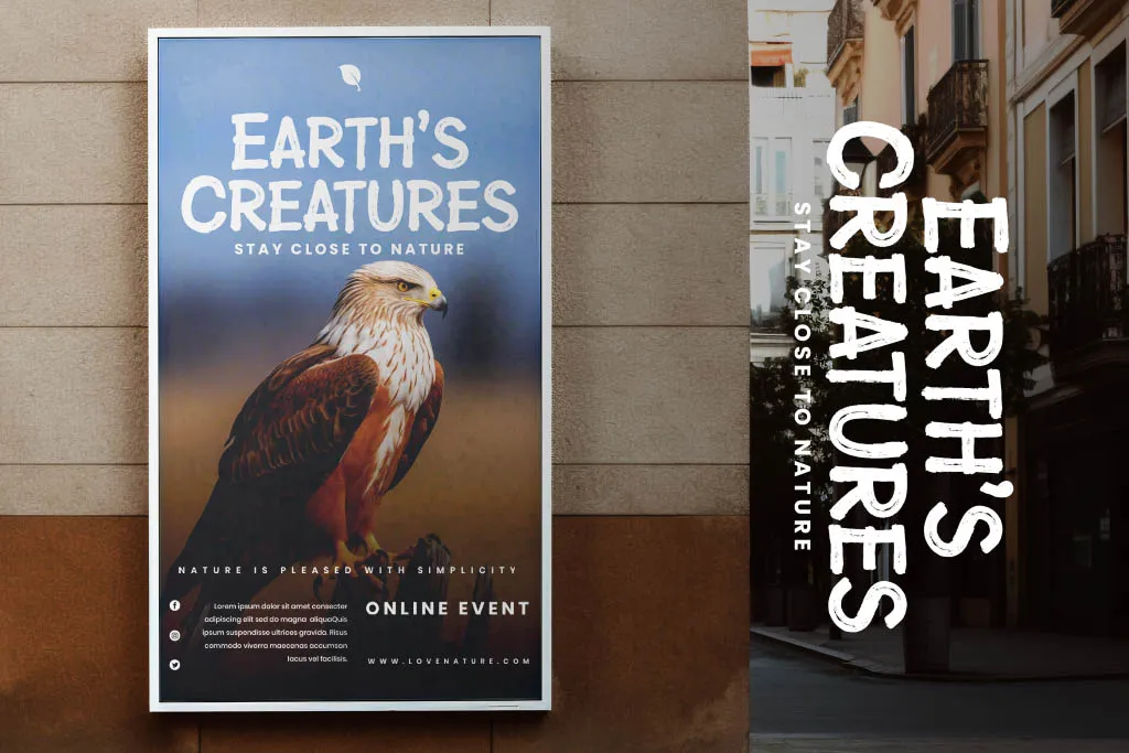 20 Best Display Fonts for Bold, Fun, and Unique Designs (2025)